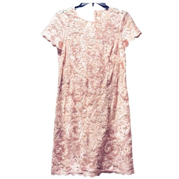 Adrianna Papell Women's Lace a Line Shift Dress Joyful Blush Wedding Lace dress - Picture 5 of 12